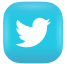 Logo Twitter